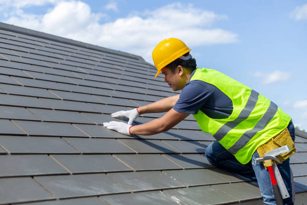 Best Roof Gutter Cleaning  in Beaverton, MI