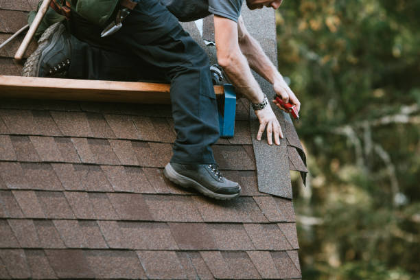 Best Roof Restoration Services  in Beaverton, MI